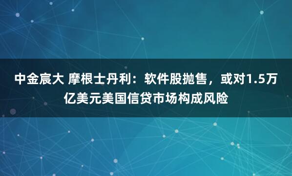 中金宸大 摩根士丹利：软件股抛售，或对1.5万亿美元美国信贷市场构成风险